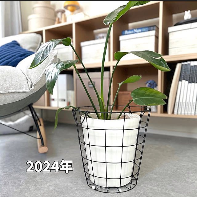 mako2yaさんの部屋