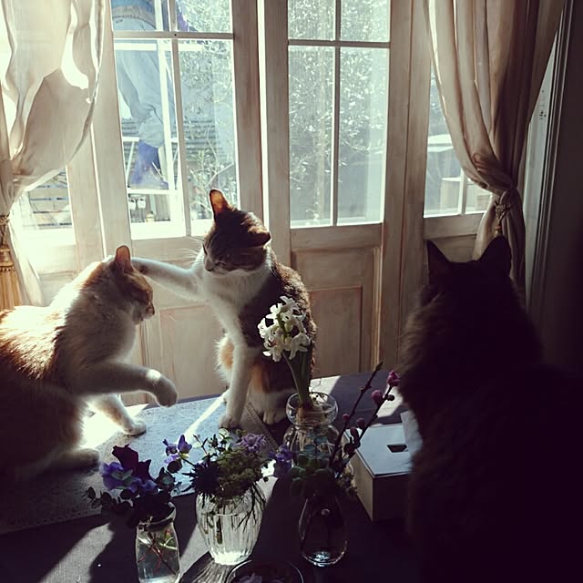 実例写真