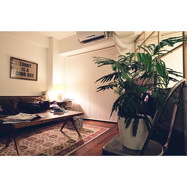 taka55さんの実例写真