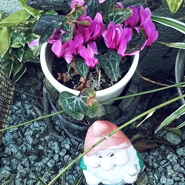 yukikoさんの実例写真