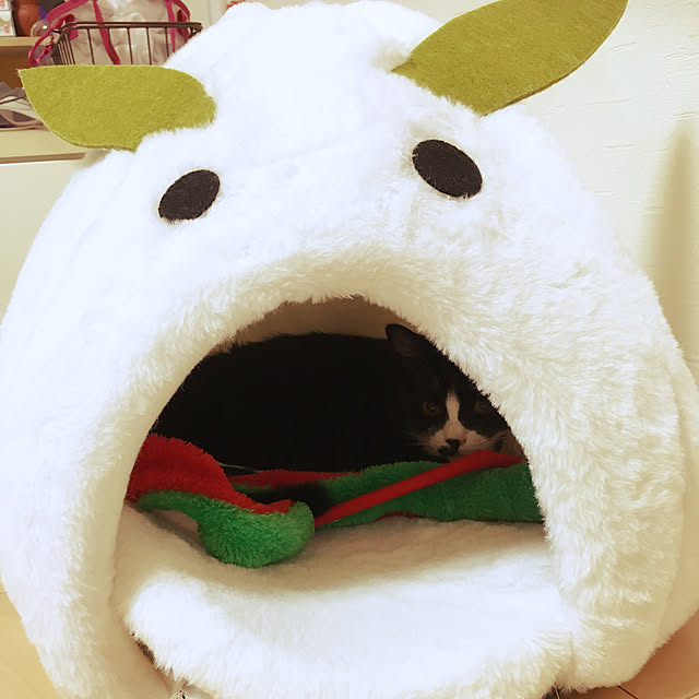 nekoさんの実例写真