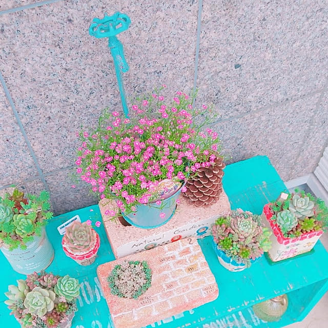 ksyf-naturalさんの実例写真