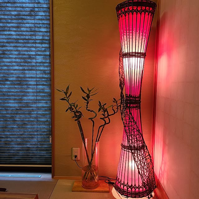 zenoさんの実例写真