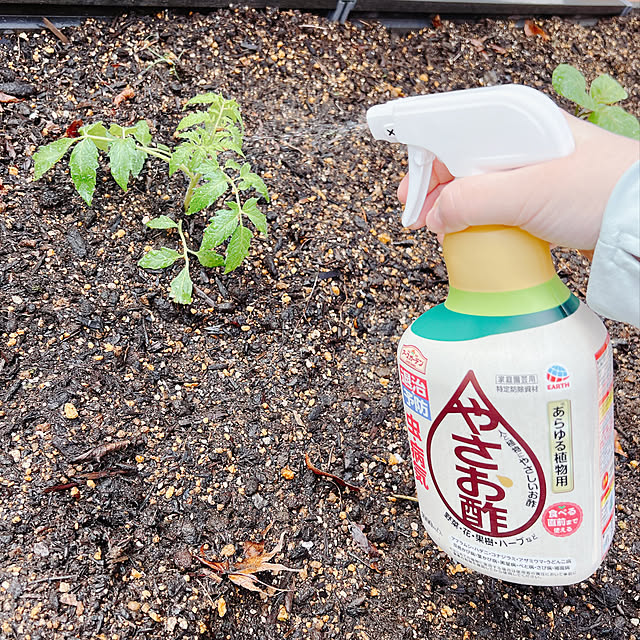 chanduさんの部屋