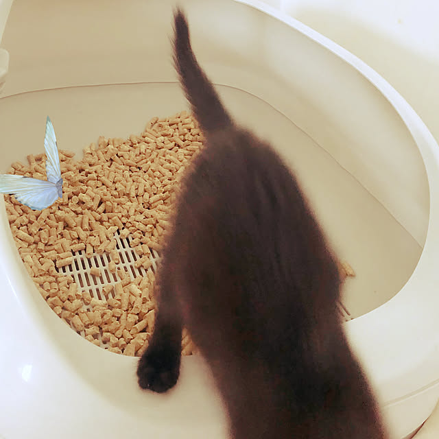 neneさんの部屋