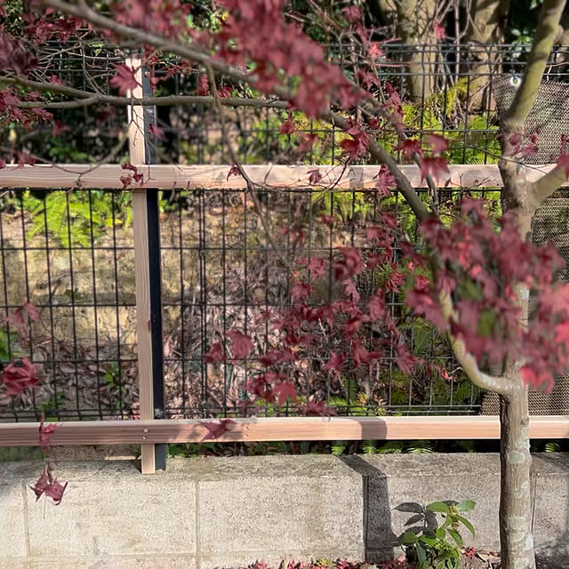 nscraftworksさんの実例写真