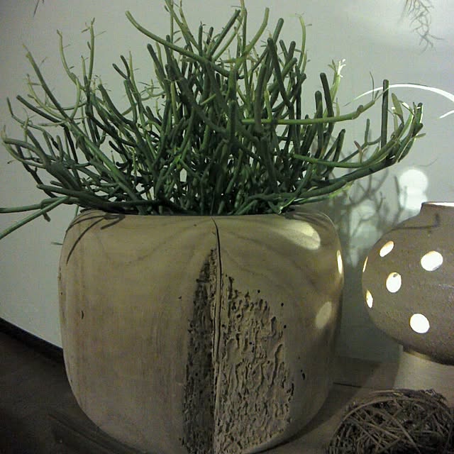 Plantexhibitionhallさんの実例写真