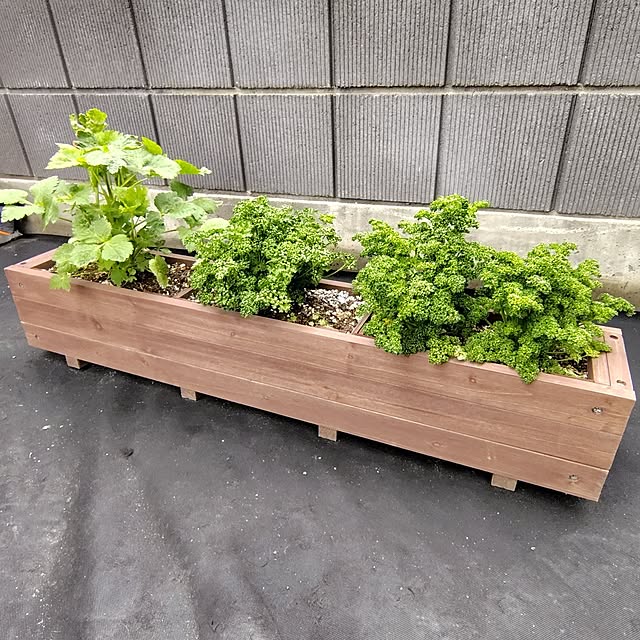 ayan-green.さんの実例写真