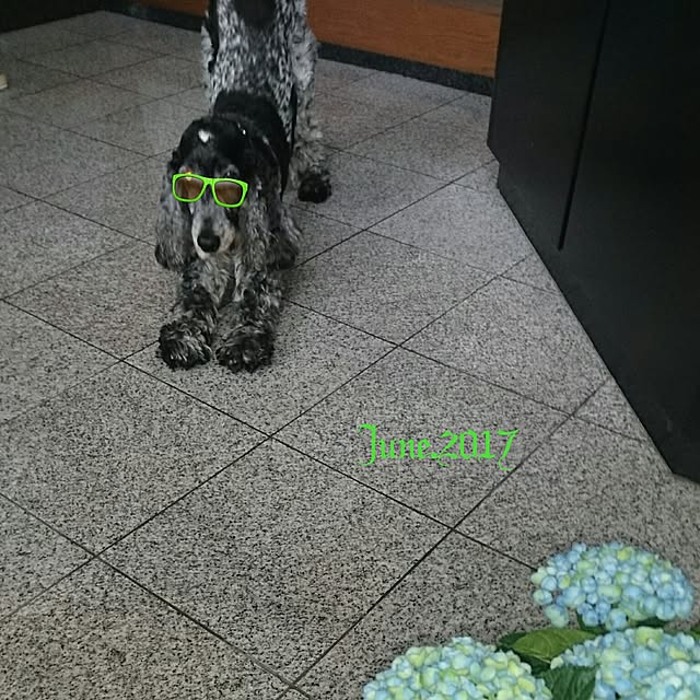 kimiさんの実例写真