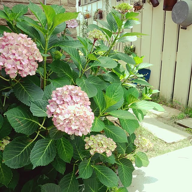 nonrinさんの実例写真