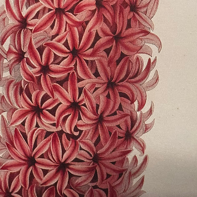 okyame-chanさんの部屋