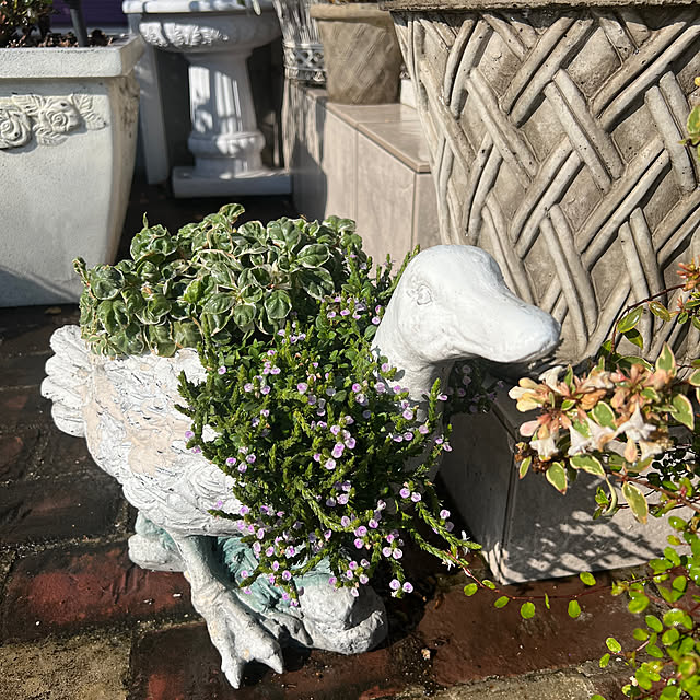 AYUKOさんの部屋