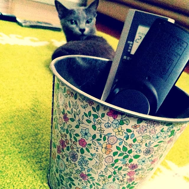 nekochanさんの実例写真
