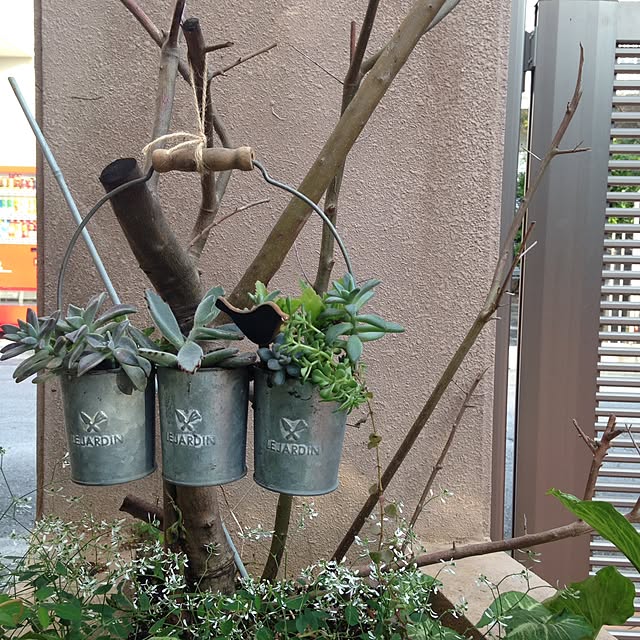 kochiさんの実例写真