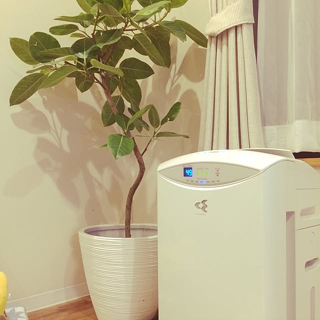 usapippiさんの実例写真