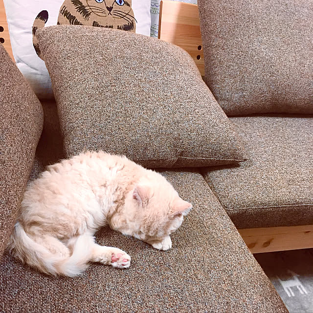 naokoさんの実例写真