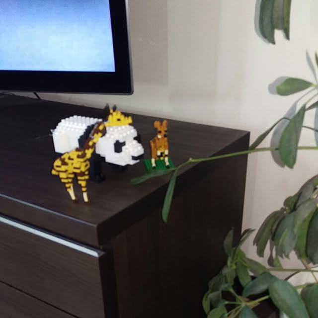 maaさんの実例写真