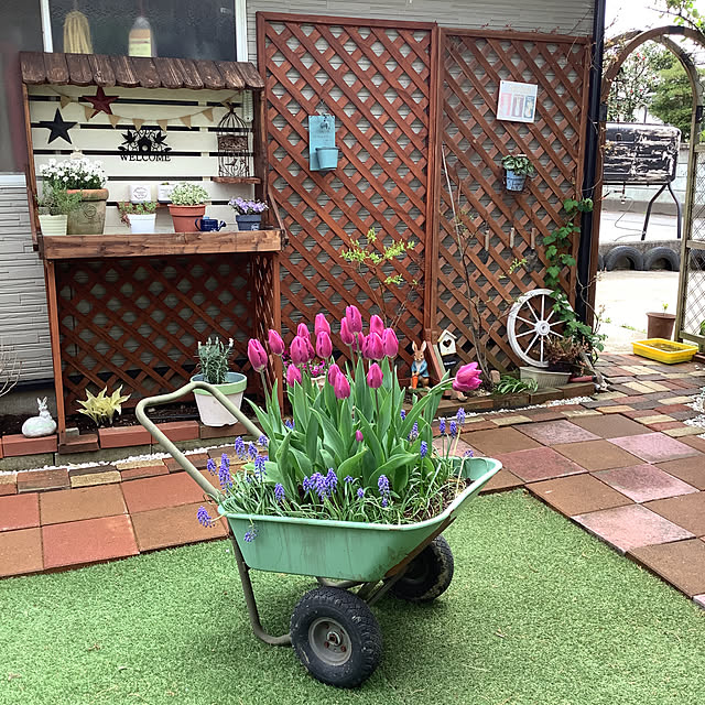 Naomiさんの実例写真