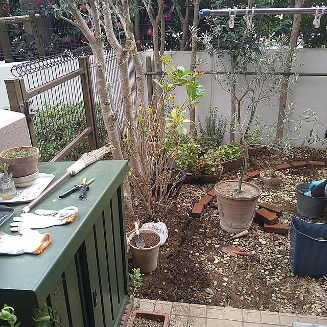 okyosan101さんの実例写真