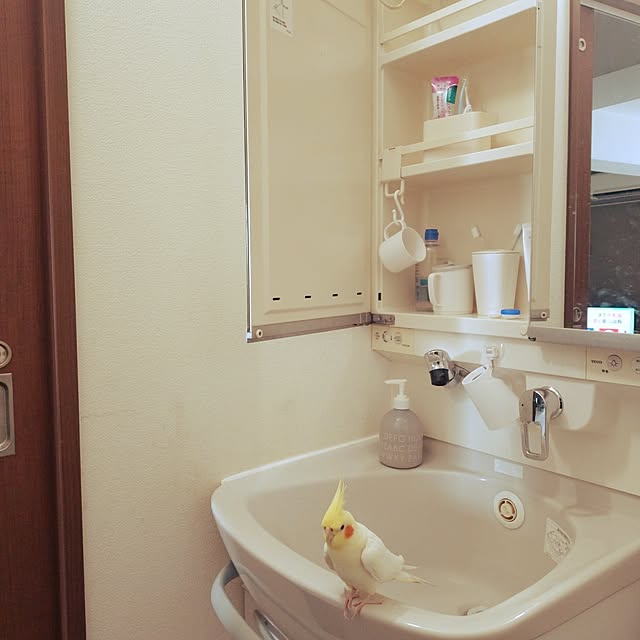 toratanさんの実例写真