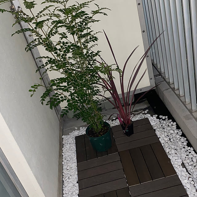 jasmineさんの実例写真