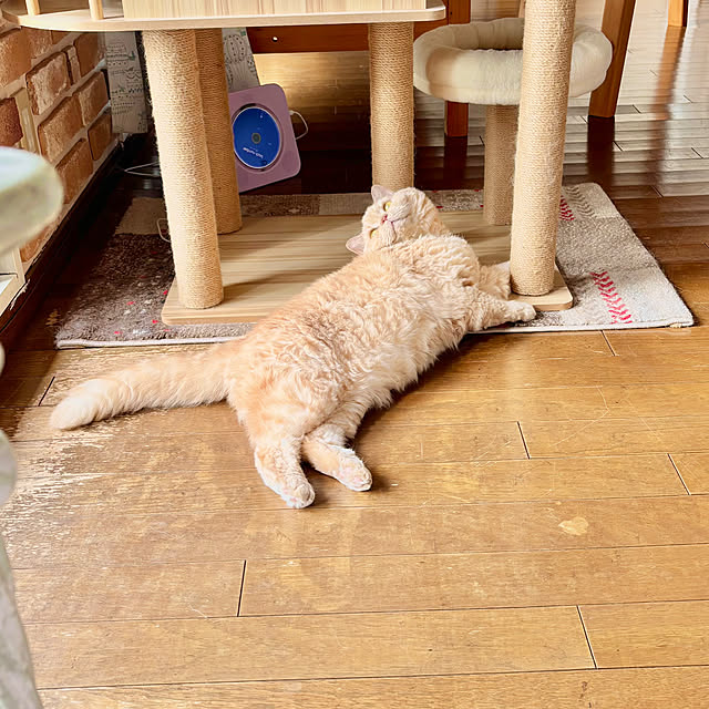 naokoさんの実例写真