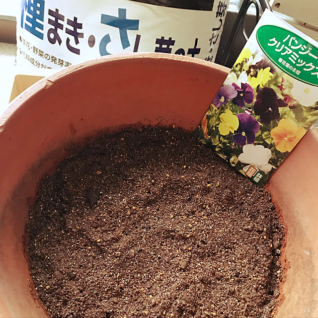 miiさんの実例写真