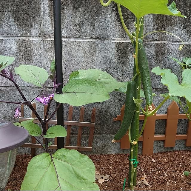 fukuさんの部屋