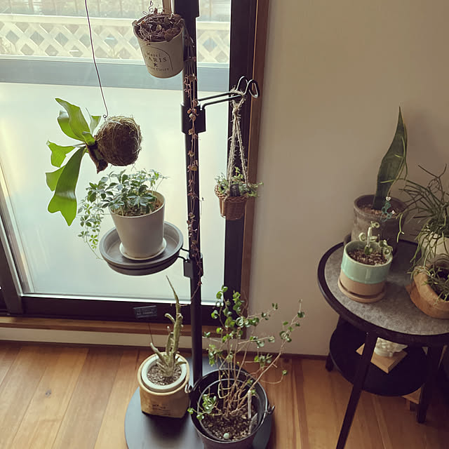 fgtomatoes0560さんの実例写真