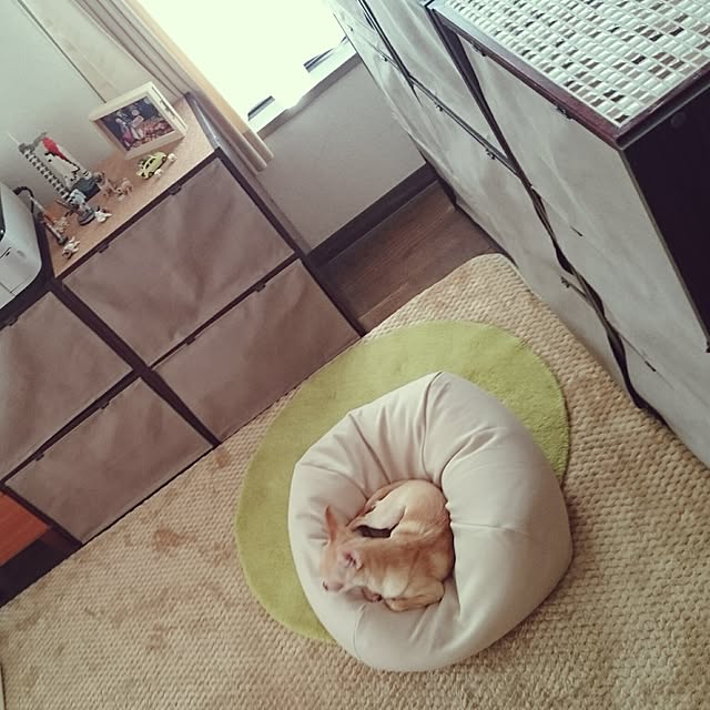 shirogomaさんの実例写真