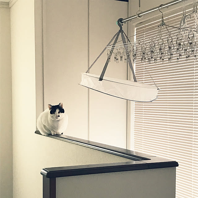 ochobiさんの実例写真