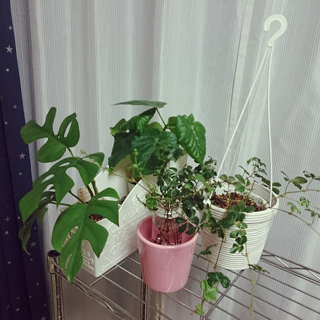 yukixx328さんの実例写真