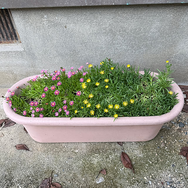 sakakenさんの実例写真