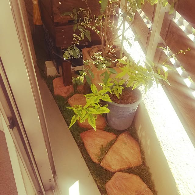 mocoさんの実例写真