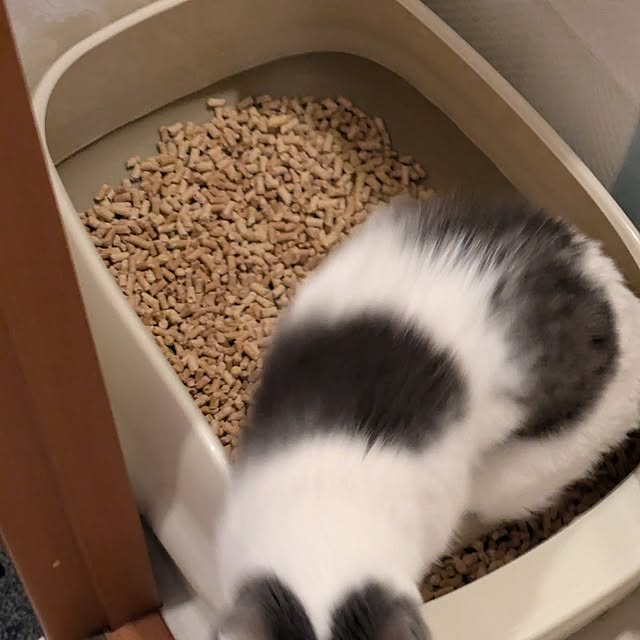 Manamiさんの実例写真