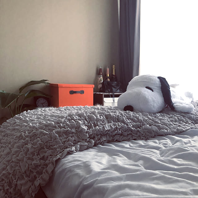 nontamaさんの実例写真