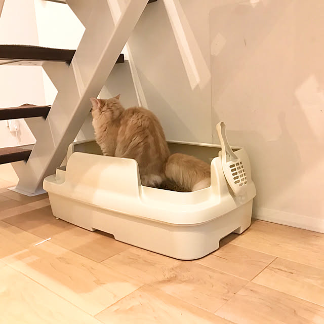 kさんの実例写真