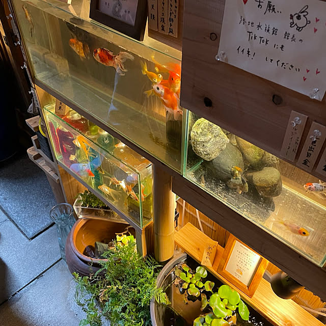 shin0719さんの部屋