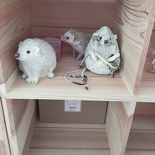 Chiharuさんの実例写真