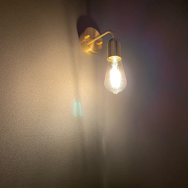 gonzo___jpさんの実例写真