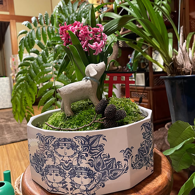 shin0719さんの部屋