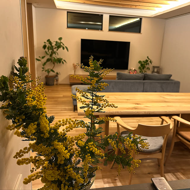 部屋全体/香りのある暮らし/観葉植物/ナチュラル/間接照明...などのインテリア実例 - 2025-04-06 23:26:24