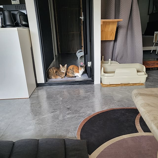 実例写真