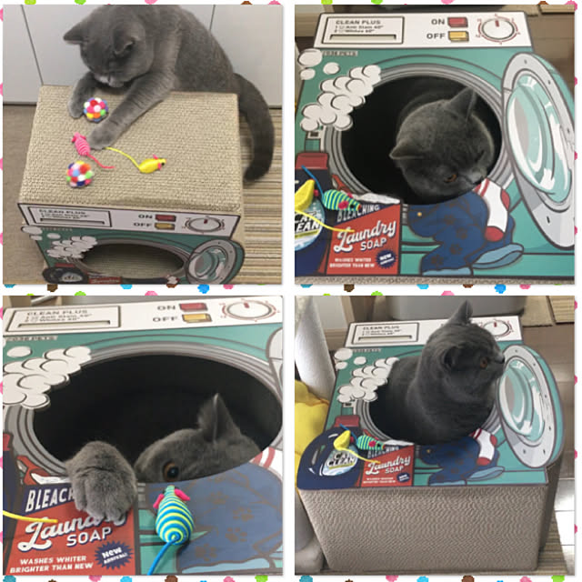 kittyさんの実例写真
