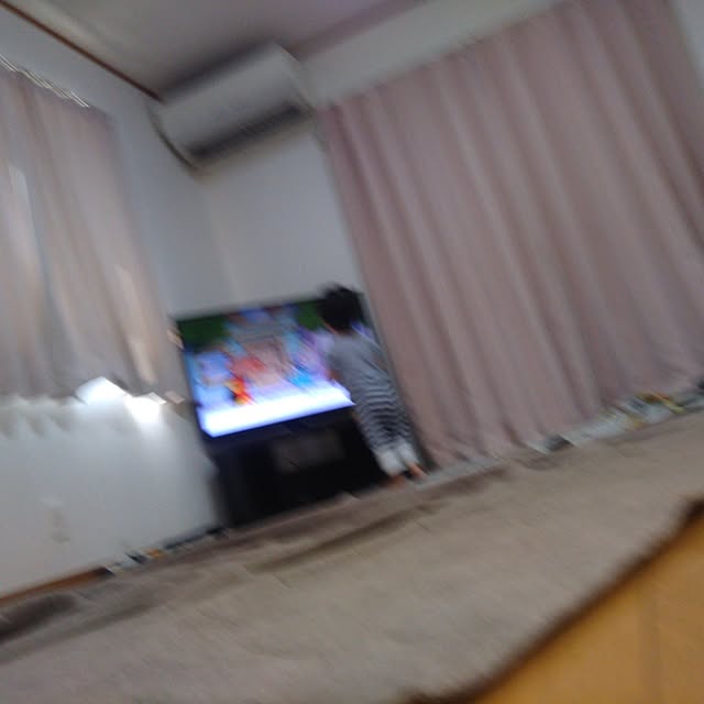 japanさんの実例写真