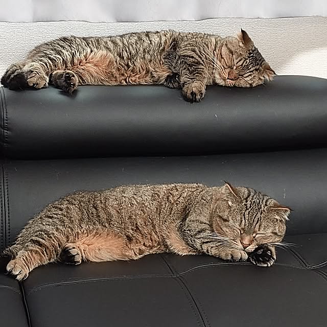 noguriさんの実例写真