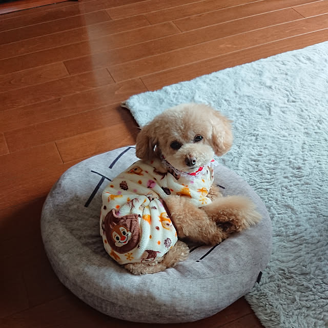 sachikoさんの実例写真
