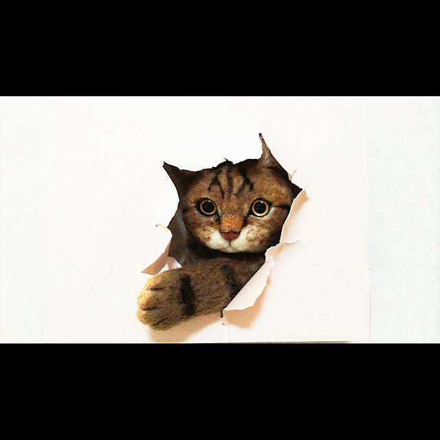 ookiさんの実例写真