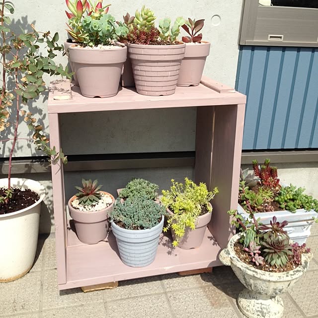 yuraaiさんの実例写真