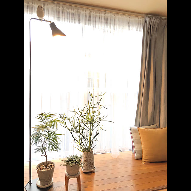 kyoko1124koさんの実例写真
